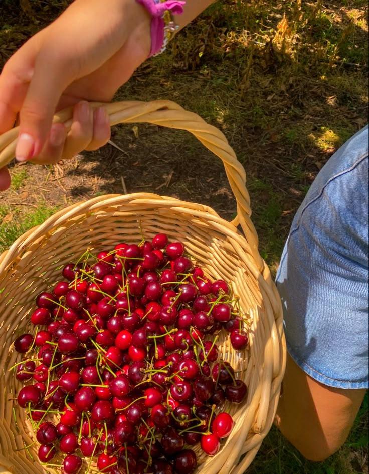 Country Essence: Vibrant Berries Selection