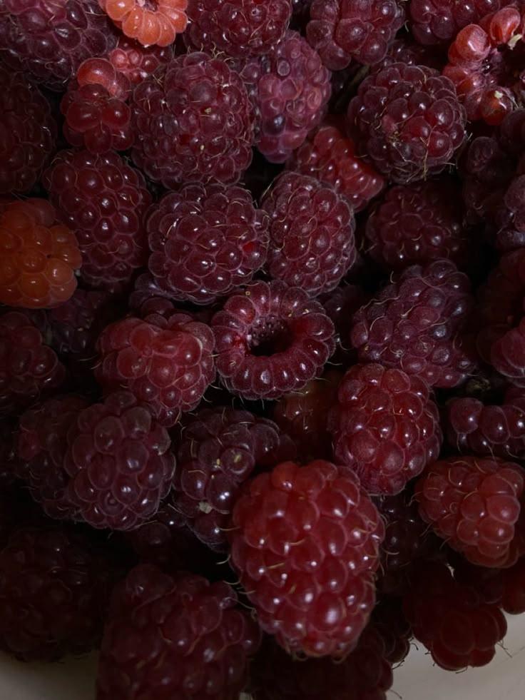 Rural Harvest: Juicy Berries Galore